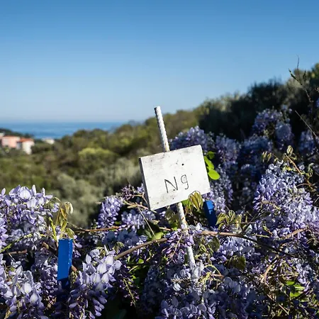 La Mansarda Degli Ulivi Celle Ligure