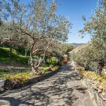 La Mansarda Degli Ulivi Celle Ligure